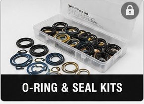 O-Ring and Seal Kits